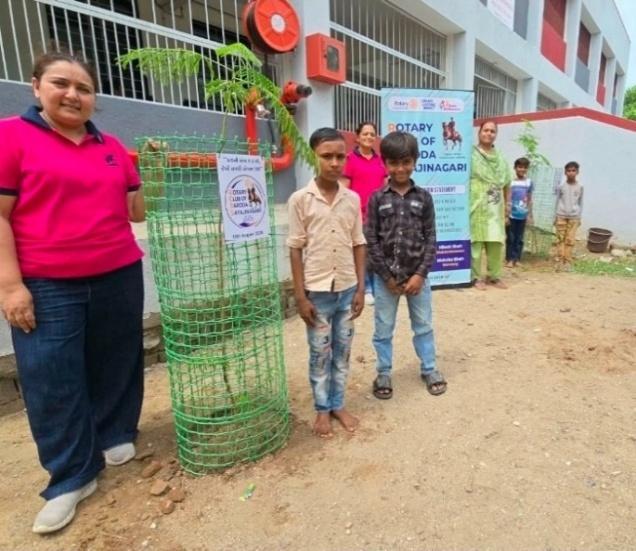 Installing INDONET protective tree guard for young sapling